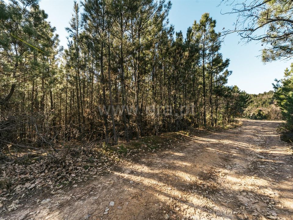 Helårsgrund i Fundao, Castelo Branco - foto 2
