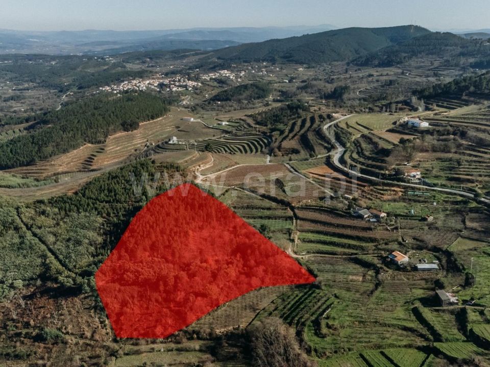 Helårsgrund i Fundao, Castelo Branco - foto 4