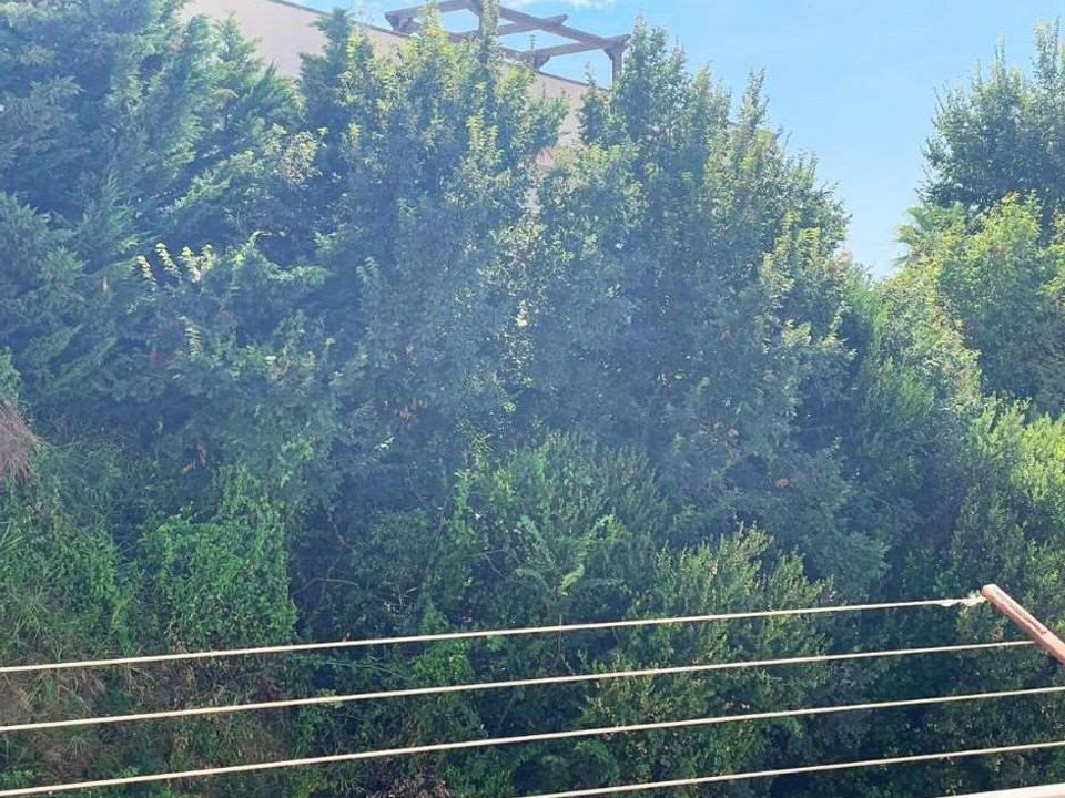 Lejlighed i Belvedere Marittimo, Cosenza - foto 4