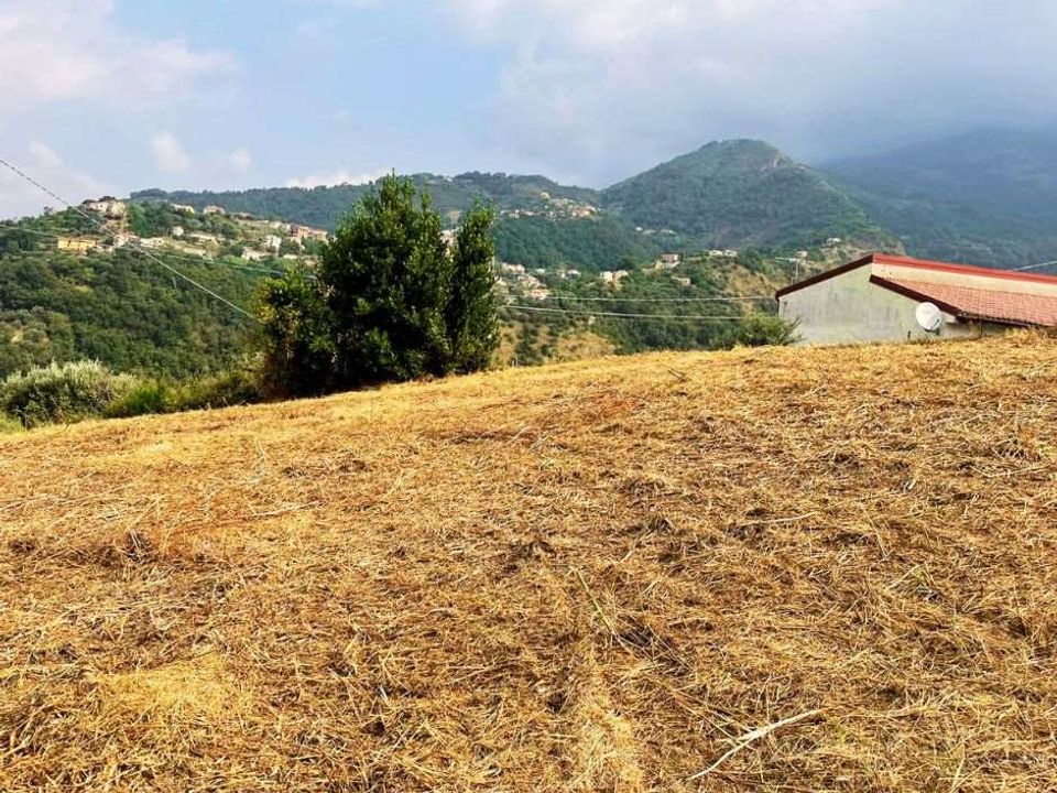 Helårsgrund i Belvedere Marittimo, Cosenza - foto 4