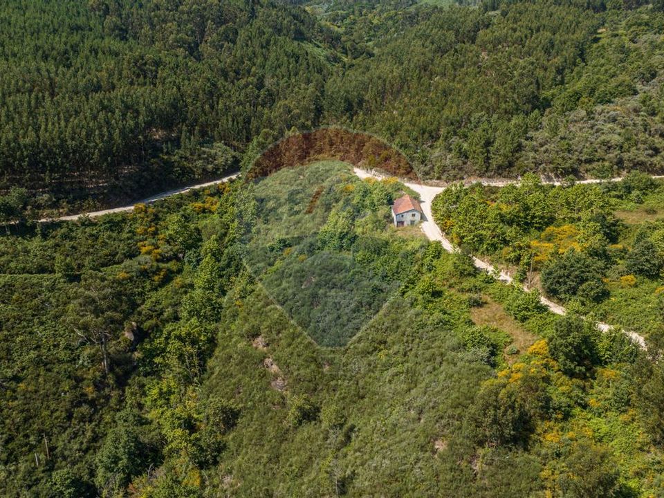 Gård i Celorico de Basto, Braga - bilde 1
