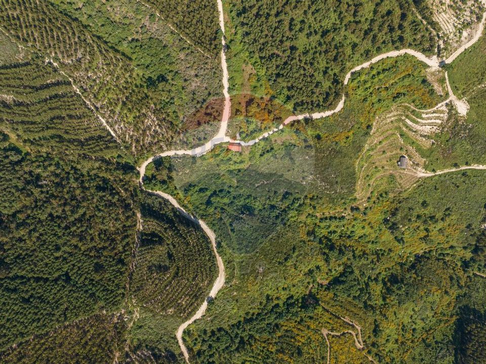 Gård i Celorico de Basto, Braga - bilde 2