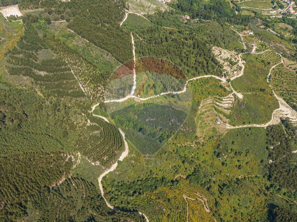 Gård i Celorico de Basto, Braga - bilde 4