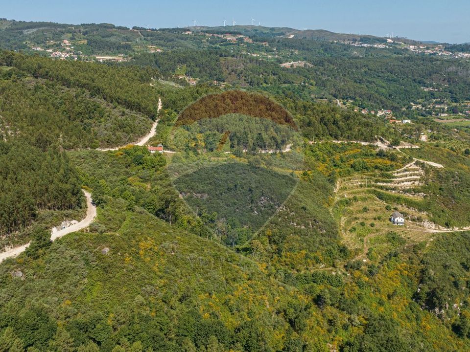 Gård i Celorico de Basto, Braga - bilde 5