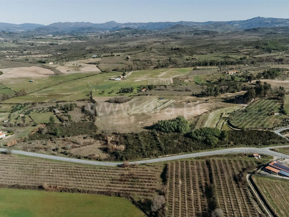 Helårsgrund i Belmonte, Castelo Branco - foto 2
