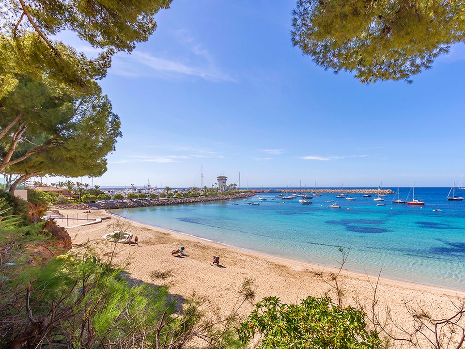 Lejlighed i Portals Nous, Mallorca - foto 1