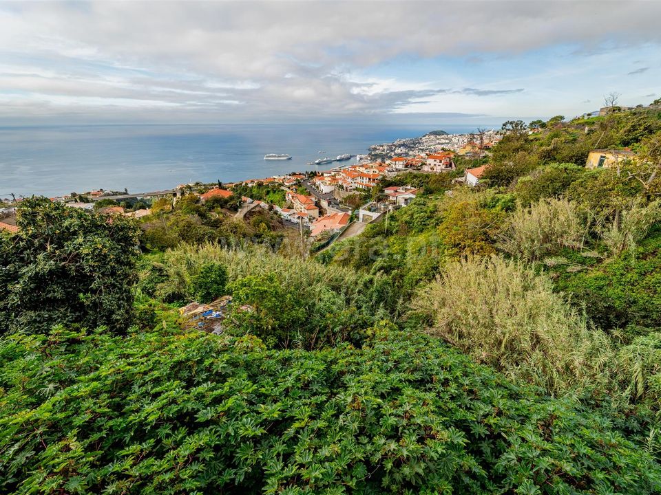 Helårsgrund i Funchal, Madeira - foto 5