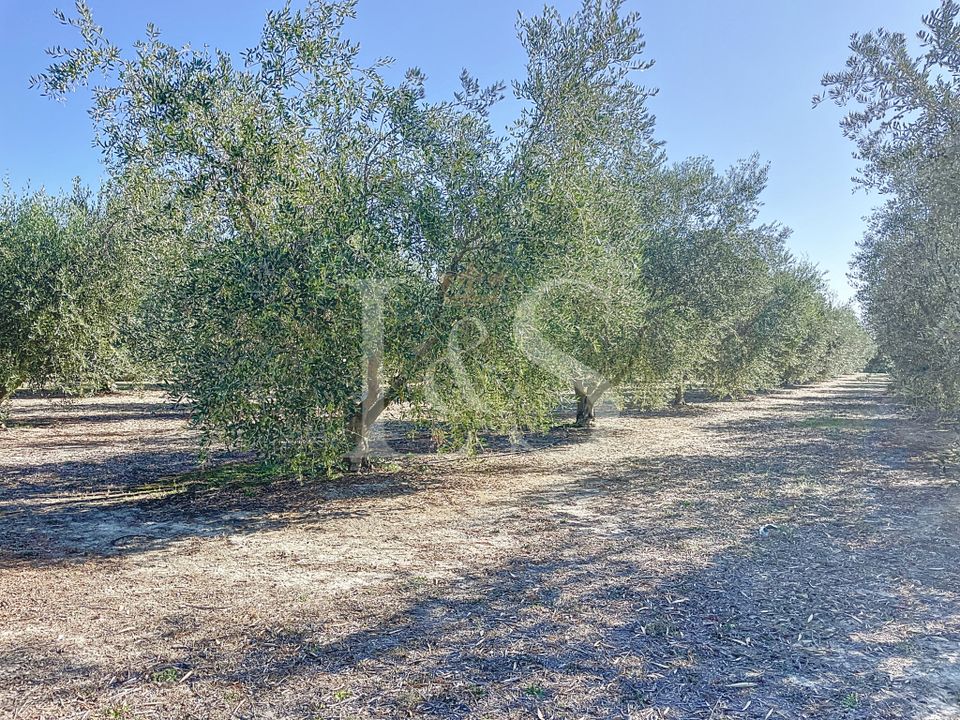 Farm hus i Saint-Remy-de-Provence, Bouches-du-Rhone - foto 1