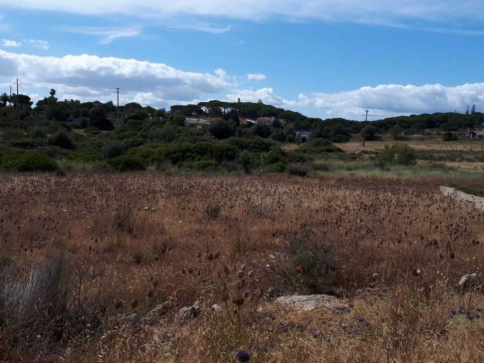 Helårsgrund i Porches, Faro - foto 4