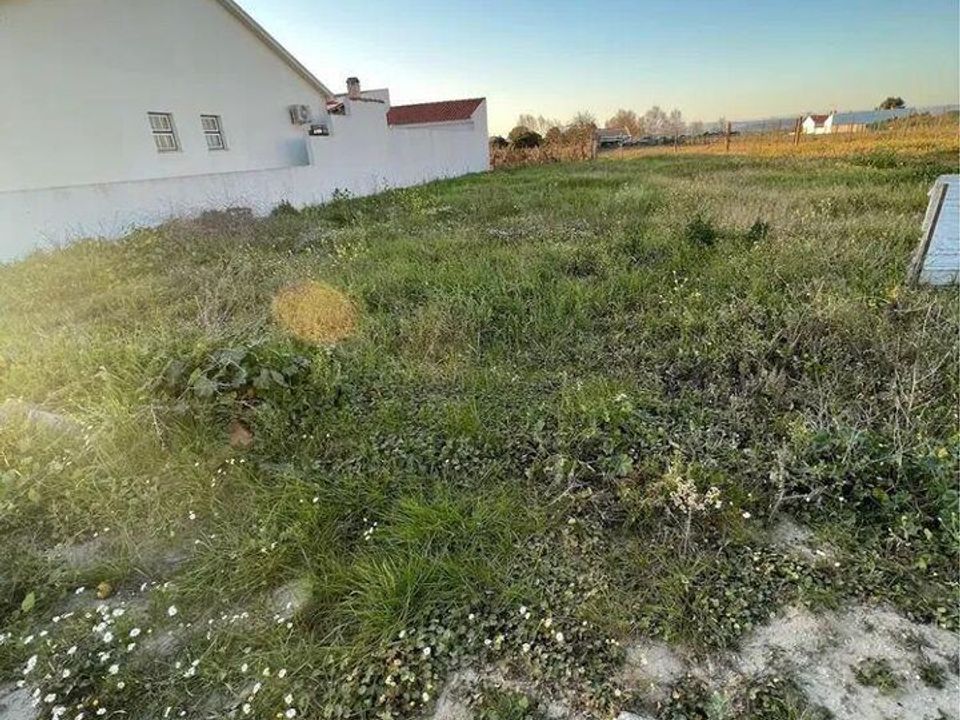 Helårsgrund i Alpiarca, Santarem - foto 4