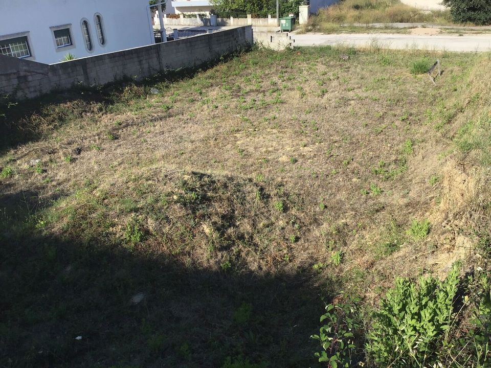 Helårsgrund i Torres Novas, Santarem - foto 4