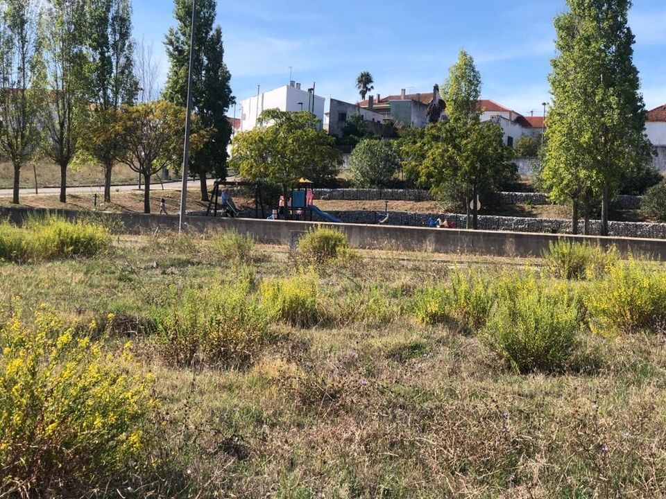 Helårsgrund i Meia Via, Santarem - foto 3