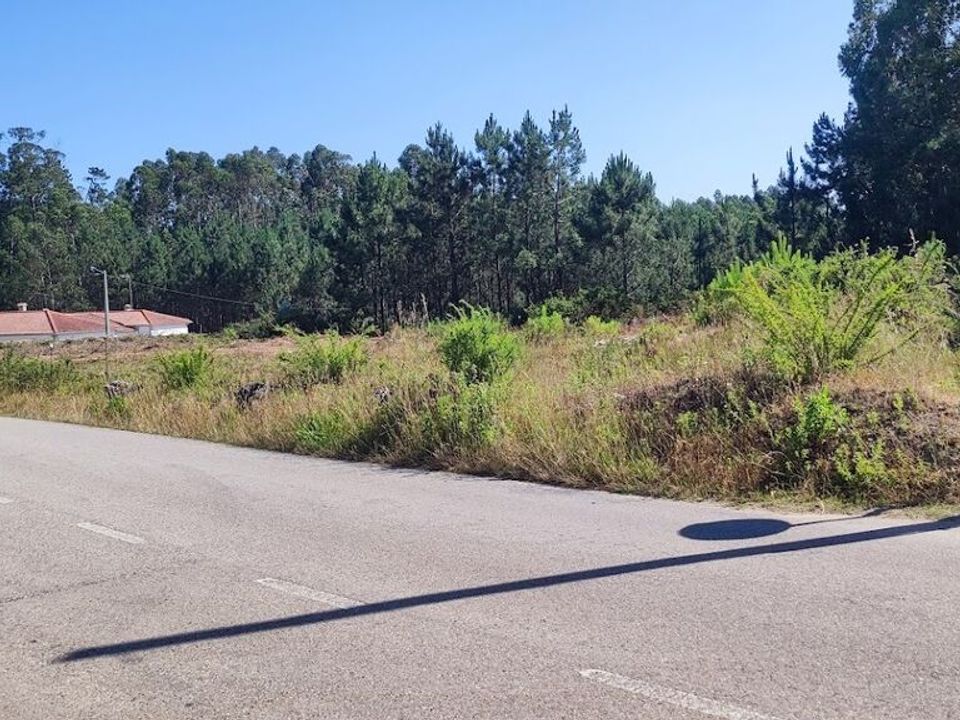 Helårsgrund i Souto da Carpalhosa e Ortigosa, Leiria - foto 3