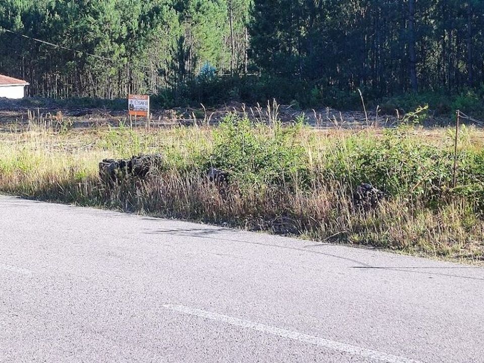 Helårsgrund i Souto da Carpalhosa e Ortigosa, Leiria - foto 5