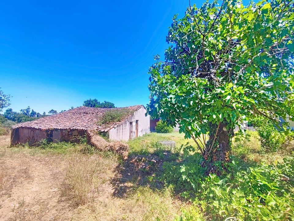 Helårsgrund i Alvaiazere, Leiria - foto 4