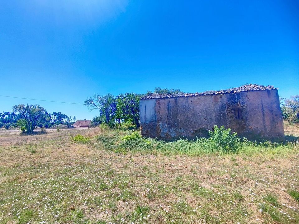Helårsgrund i Alvaiazere, Leiria - foto 5