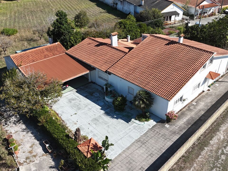 Farm i Marinha Grande, Leiria - foto 3