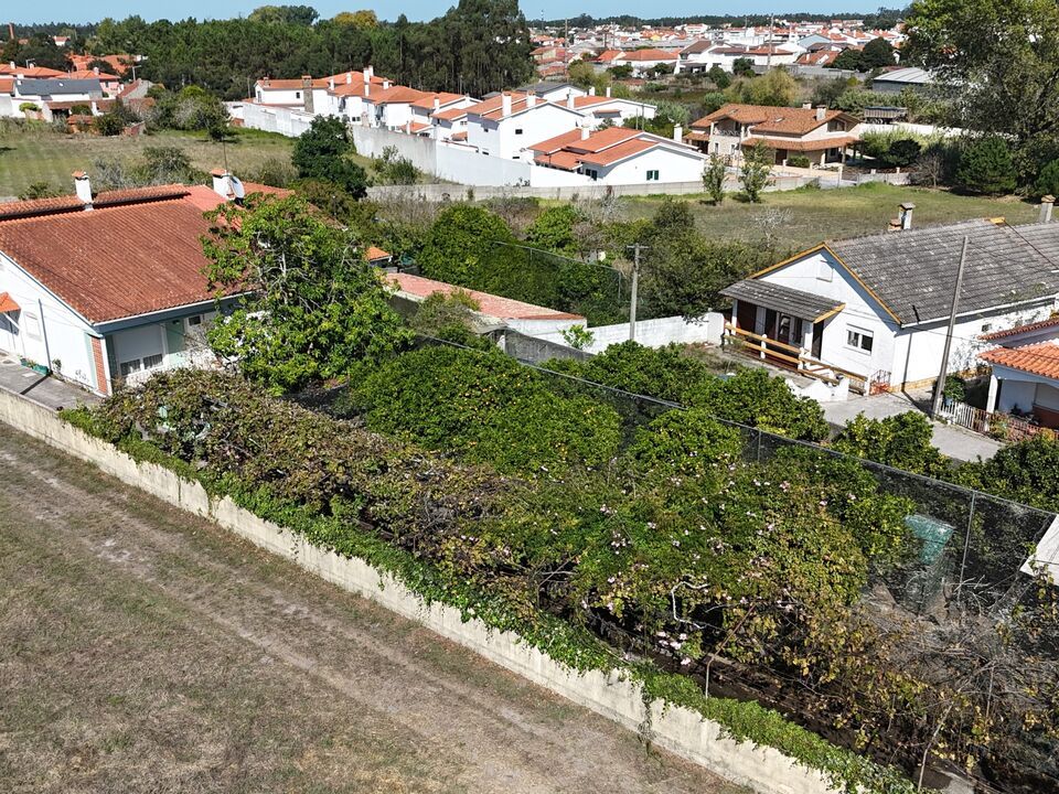Farm i Marinha Grande, Leiria - foto 4