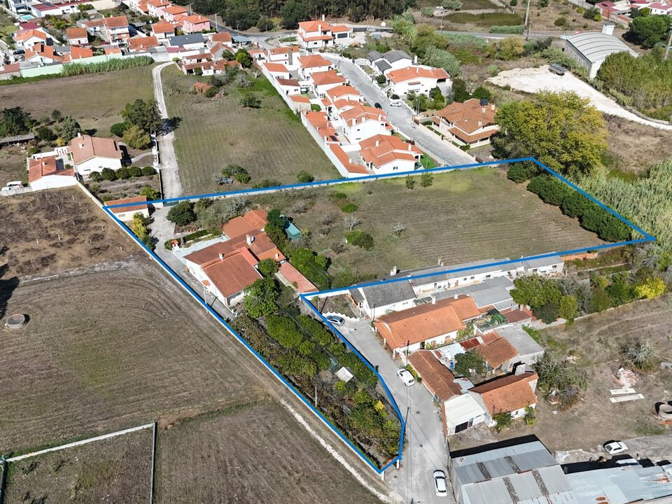 Farm i Marinha Grande, Leiria - foto 5
