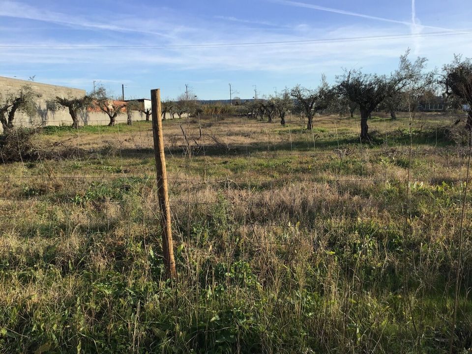 Helårsgrund i Abrantes, Santarem - foto 1