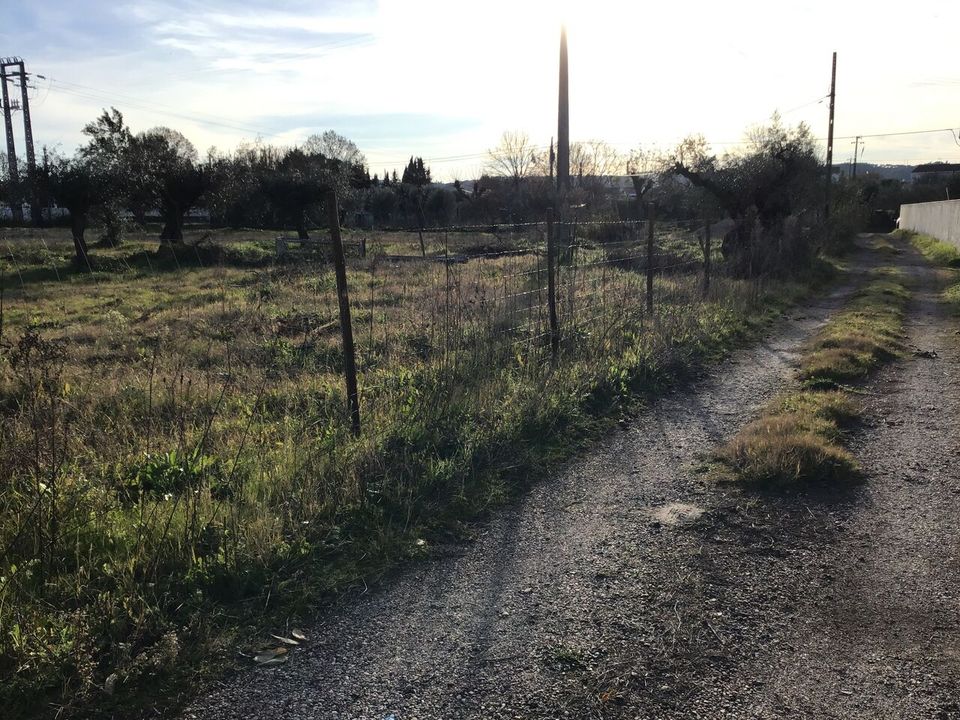 Helårsgrund i Abrantes, Santarem - foto 4