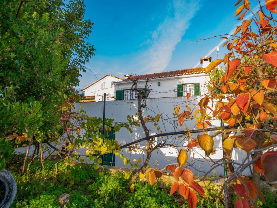 Granja a Casevel e Vaqueiros, Santarem - foto 2