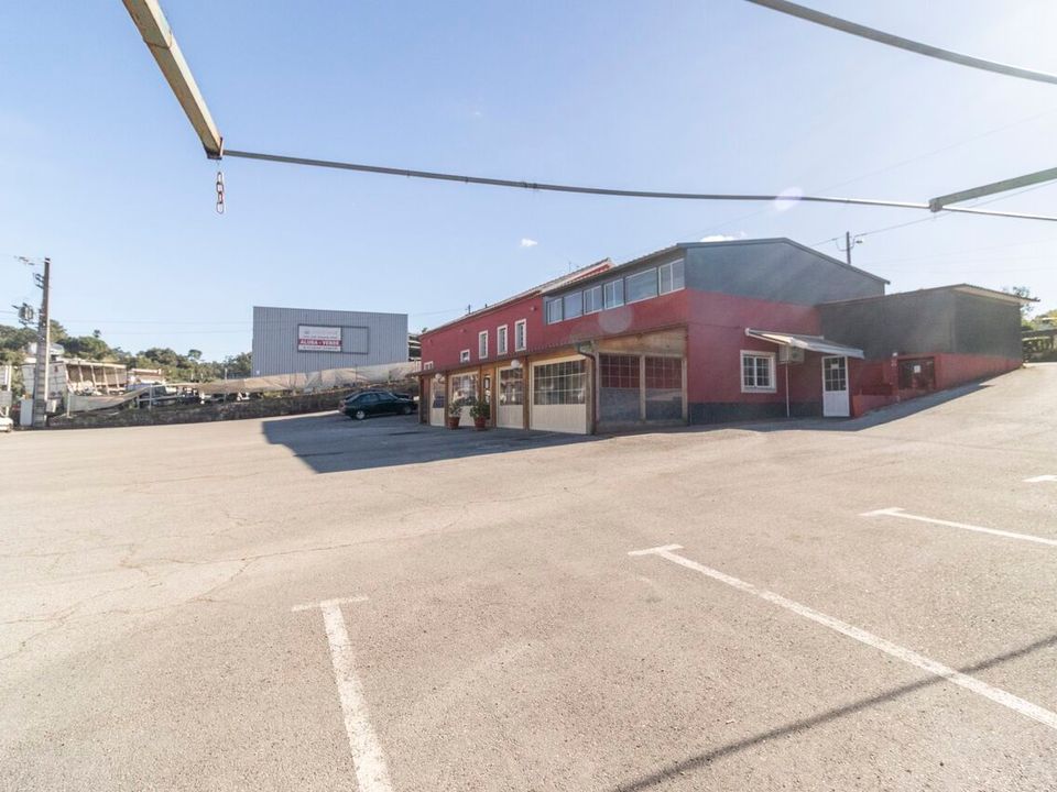 L'establiment comercial a Santa Catarina da Serra e Chainca, Leiria - foto 3