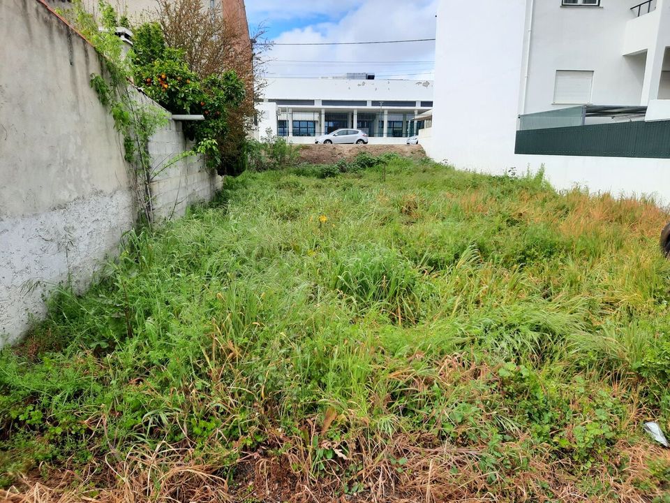 Helårsgrund i Nisa, Portalegre - foto 2