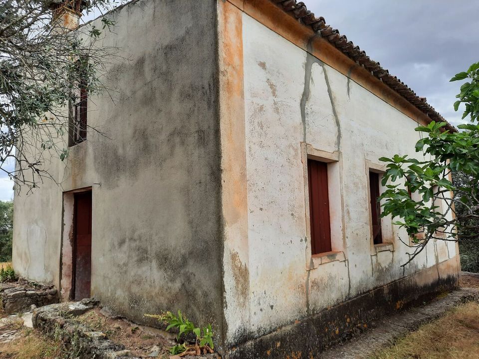 Farm i Portalegre, Portalegre - foto 3