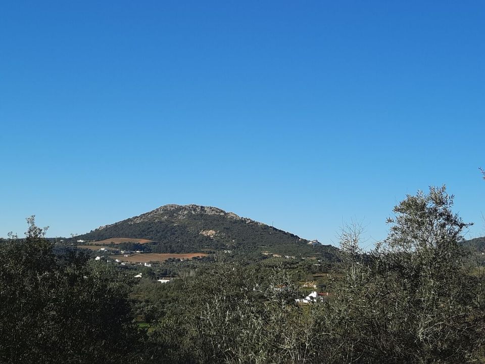 Farm i Portalegre, Portalegre - foto 2