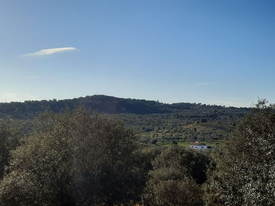 Farm i Portalegre, Portalegre - foto 5