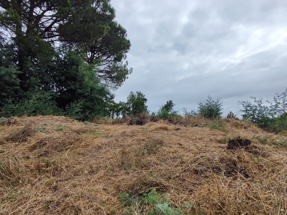 Grond in Condeixa-a-Nova, Coimbra - foto 5