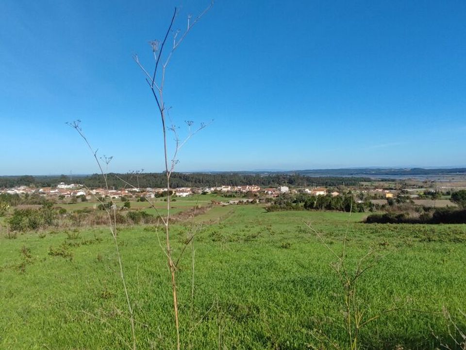 Helårsgrund i Figueira da Foz, Coimbra - foto 4