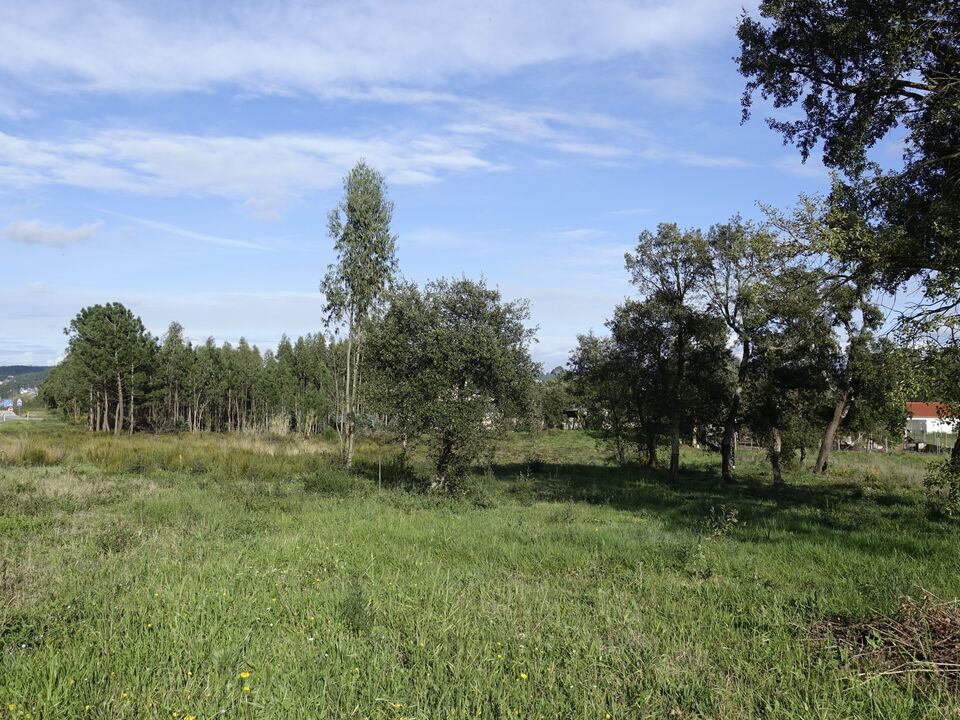 Helårsgrund i Casal dos Claros, Leiria - foto 3
