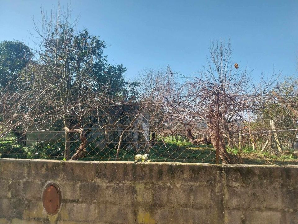 Helårsgrund i Bela, Viana do Castelo - foto 2