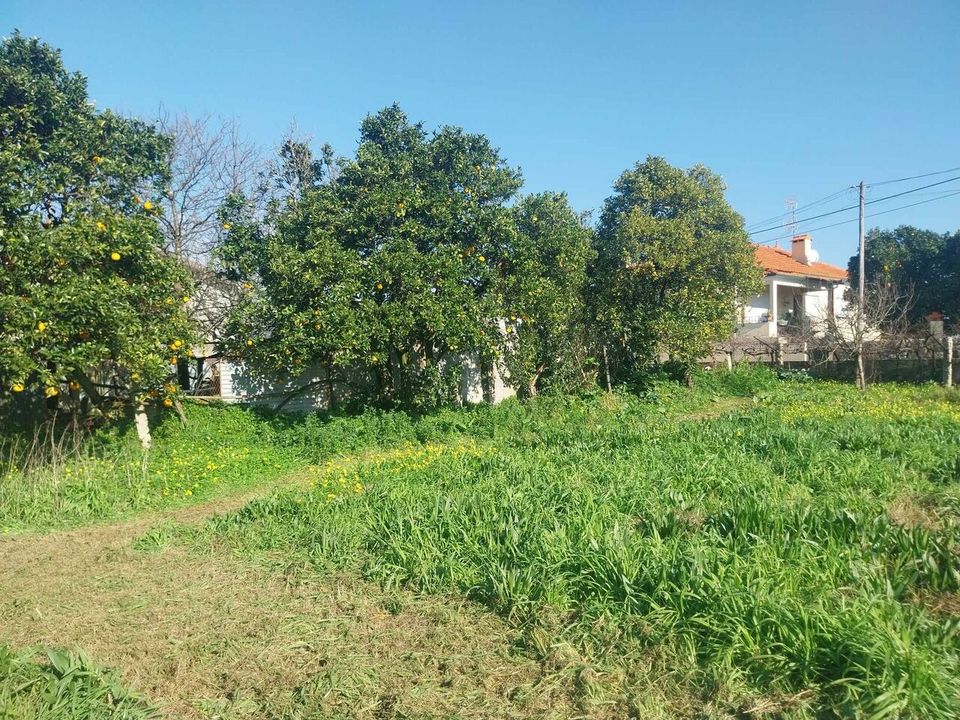 Helårsgrund i Bela, Viana do Castelo - foto 3