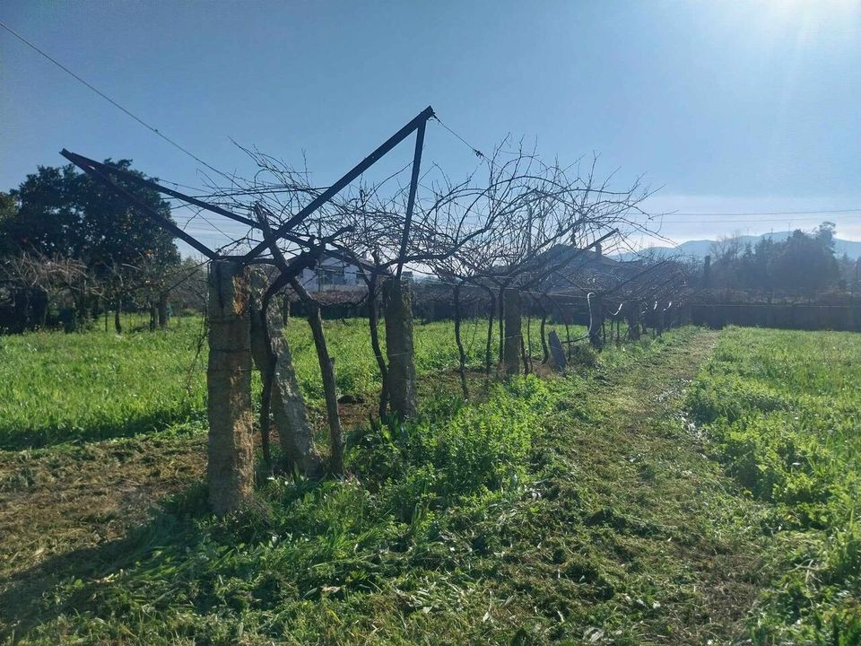 Helårsgrund i Bela, Viana do Castelo - foto 4