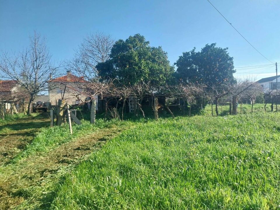 Helårsgrund i Bela, Viana do Castelo - foto 5