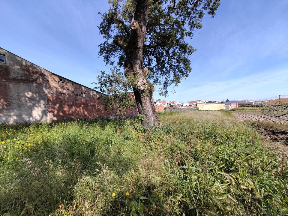 Helårsgrund i Leiria, Leiria - foto 5