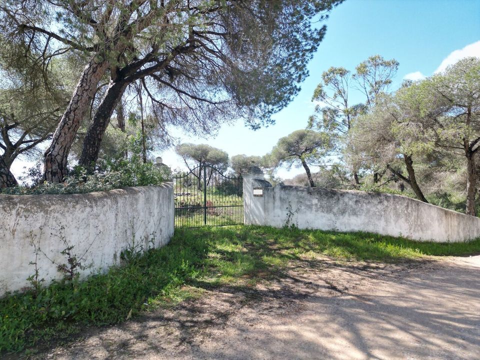 Helårsgrund i Lagoa, Faro - foto 1