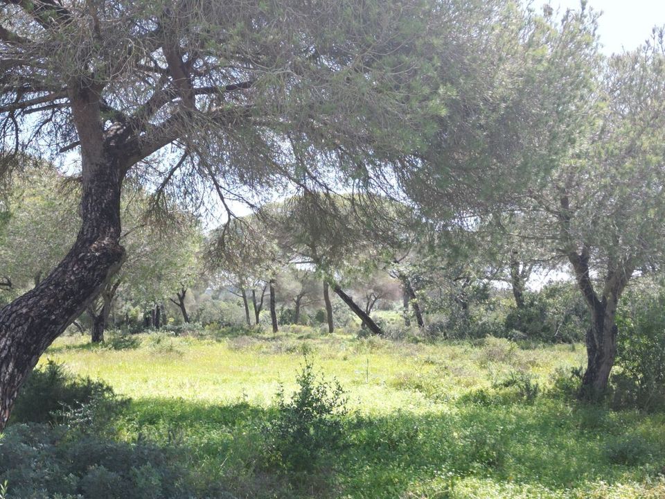 Helårsgrund i Lagoa, Faro - foto 2