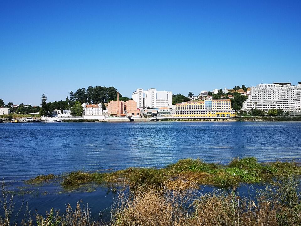 Farm i Oliveira do Douro, Porto - foto 1