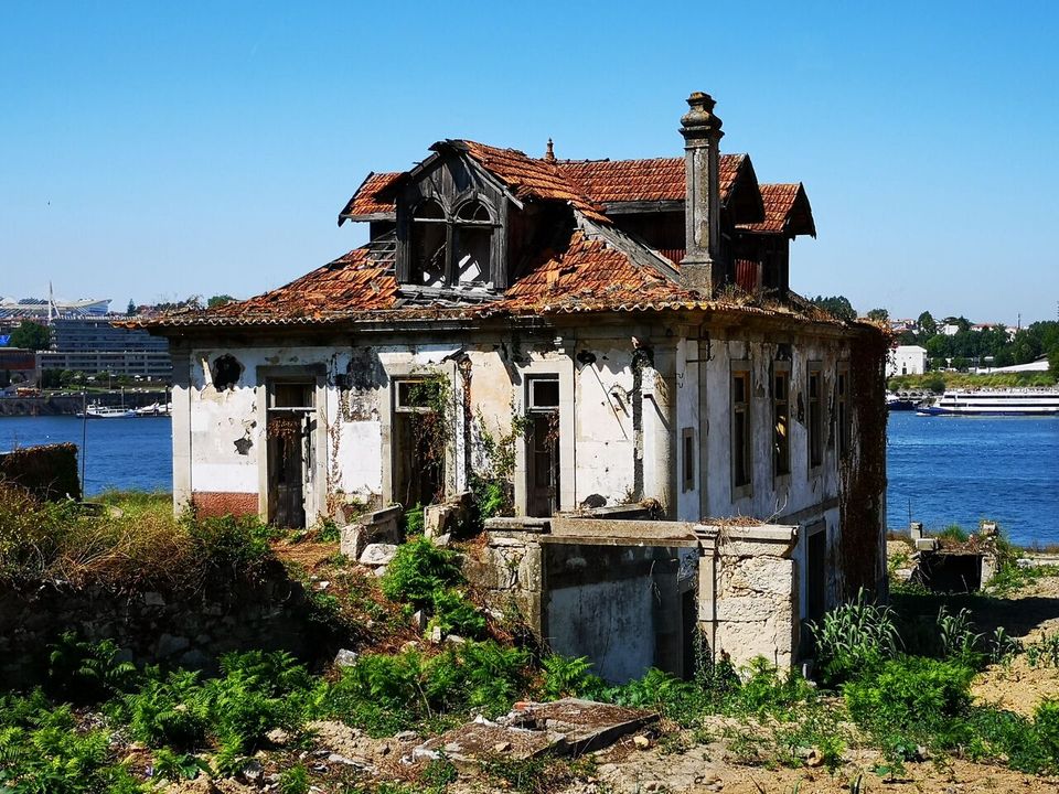 Farm i Oliveira do Douro, Porto - foto 3