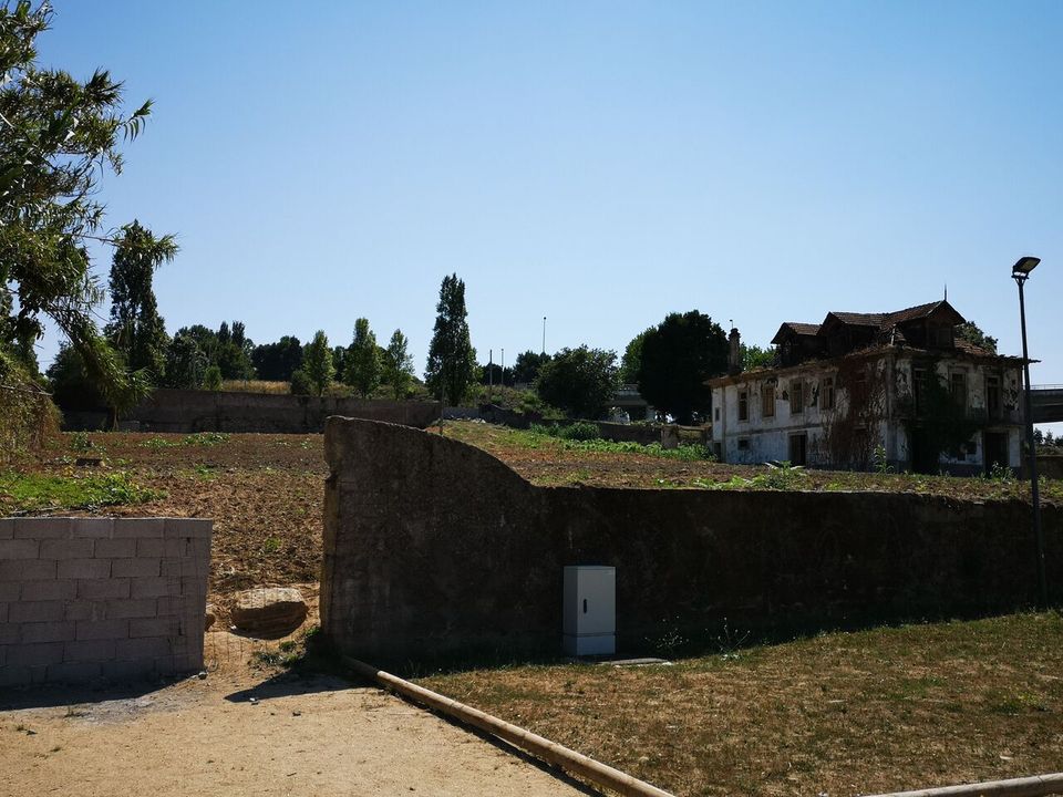 Farm i Oliveira do Douro, Porto - foto 4