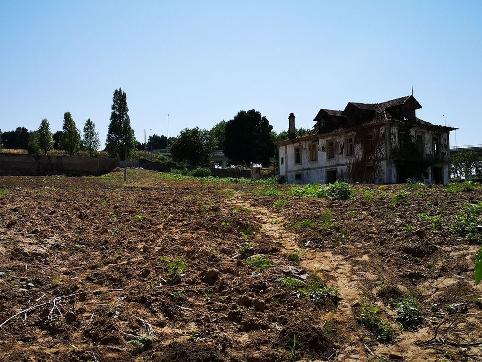Farm i Oliveira do Douro, Porto - foto 5
