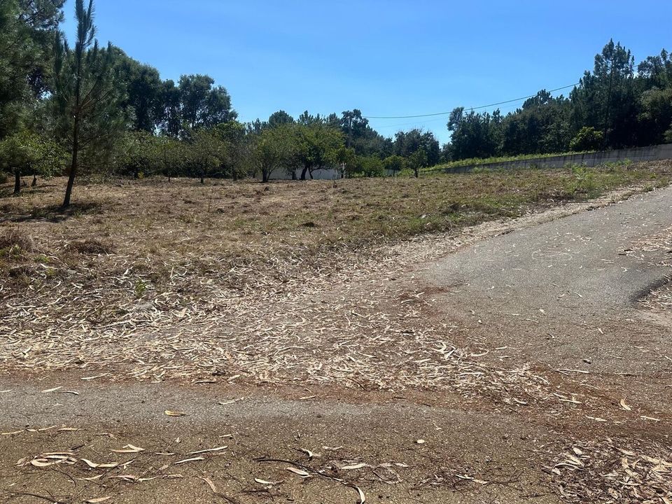 Helårsgrund i Alcobaca, Leiria - foto 1