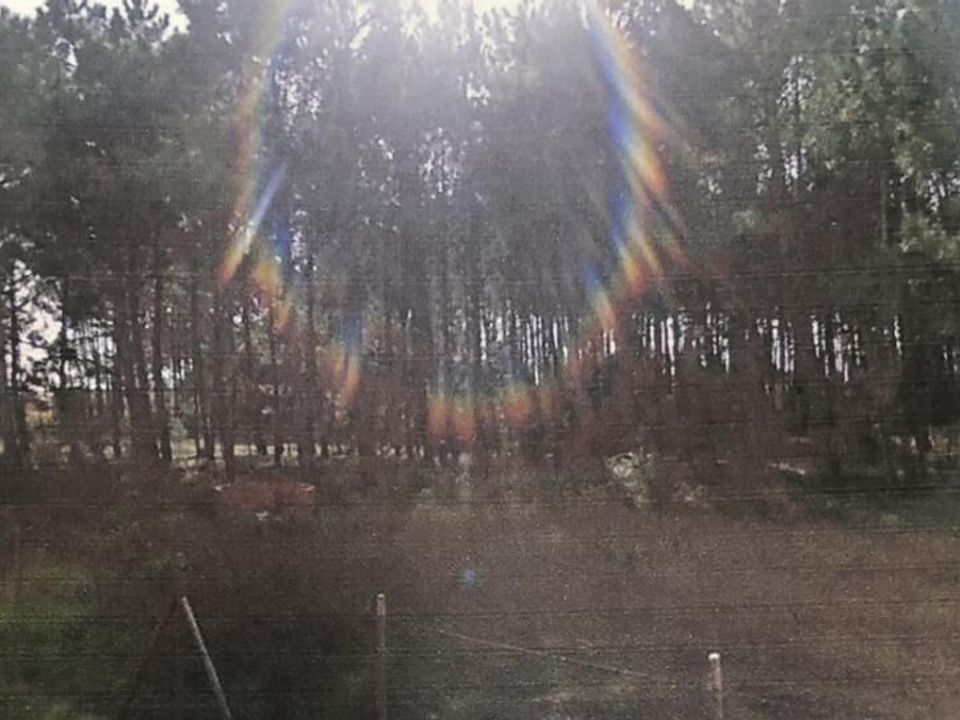 Helårsgrund i Alcobaca, Leiria - foto 1