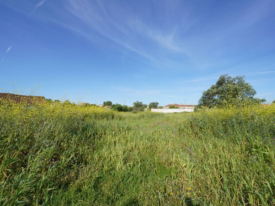 Helårsgrund i Benedita, Leiria - foto 1