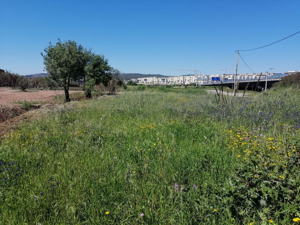 Helårsgrund i Loures, Lisbon - foto 5