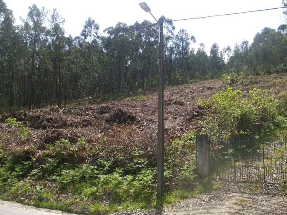 Helårsgrund i Reboreda e Nogueira, Viana do Castelo - foto 2